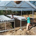 Fransiscus Go Kembangkan Hidroponik di Kapan, Wujudkan Semangat TUMHIHO: Tumbuh Mandiri, Hidup Terhormat