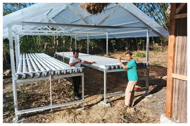 Fransiscus Go Kembangkan Hidroponik di Kapan, Wujudkan Semangat TUMHIHO: Tumbuh Mandiri, Hidup Terhormat