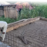 Bak Penampung Air Titik Keempat YFMG Mulai Dicor, Harapan Baru bagi Warga Maumolo