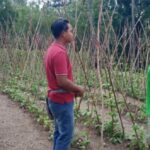 YFMG Terus Bergerak Dampingi Petani Maumolo Menuju Kemandirian