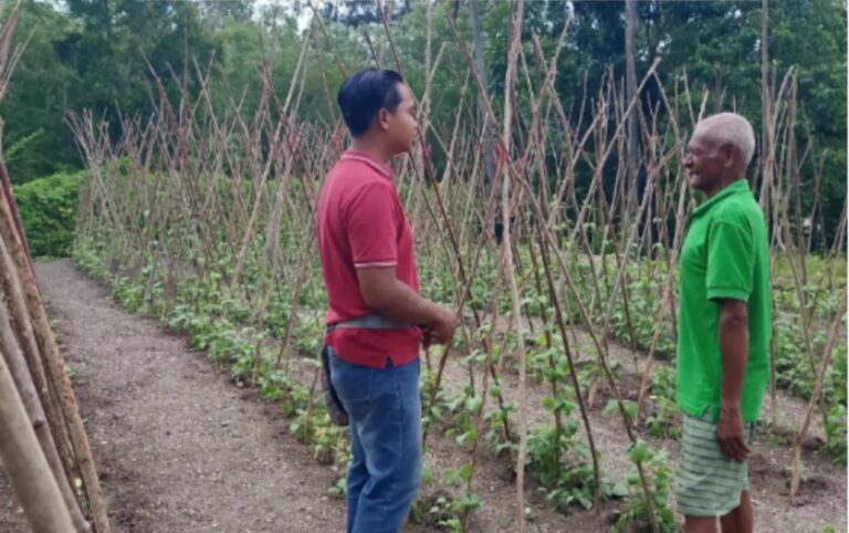 YFMG Terus Bergerak Dampingi Petani Maumolo Menuju Kemandirian