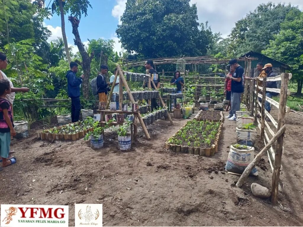 Maumolo Belajar, Maumolo Bertumbuh: YFMG Sulap Pekarangan Jadi Sumber Pangan Keluarga
