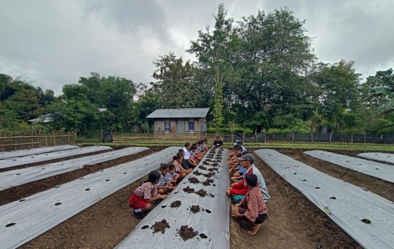 YFMG Kenalkan Dunia Pertanian kepada Pelajar SD dan SMP di Maumolo Melalui Kegiatan Tanam Cabai Bersama