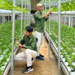 Nara Kupu Village Sukses Kembangkan Hidroponik NFT, Hadirkan Solusi Pertanian Modern untuk Ketahanan Pangan