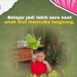 Nara Kupu Village Hadirkan Program Panen Sayur, Edukasi Anak Belajar Langsung dari Alam