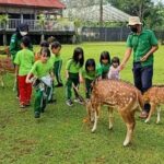 Tingkatkan Kesadaran Alam Anak, Nara Kupu Village Hadirkan Program ‘NKV Edufarm Paket A’