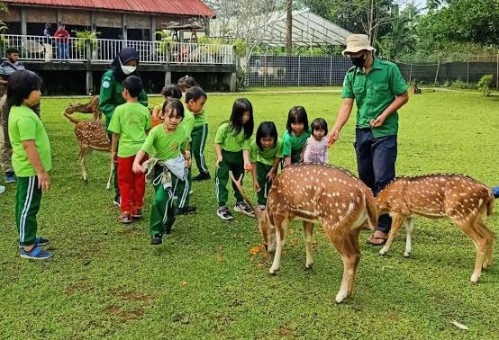 Tingkatkan Kesadaran Alam Anak, Nara Kupu Village Hadirkan Program ‘NKV Edufarm Paket A’