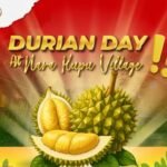 Maniak Durian Wajib Datang: Pesta Durian Daging Tebal dan Manis Hadir di Nara Kupu Village