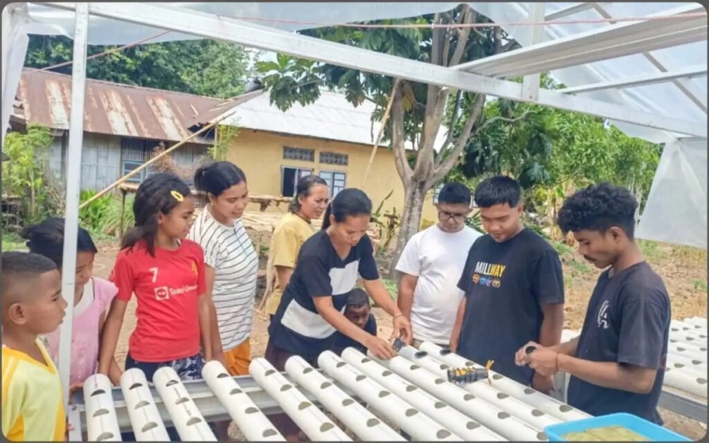 YFMG Edukasi Budidaya Hidroponik untuk Anak Muda di Katon Walang Flores Timur
