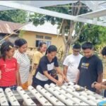 YFMG Edukasi Budidaya Hidroponik untuk Anak Muda di Katon Walang Flores Timur