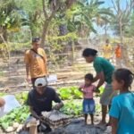 YFMG Dorong Warga Desa Persiapan Saisana Manfaatkan Pekarangan Lewat Lomba Dapur Hidup