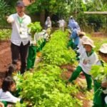 Nara Kupu Village Depok Kenalkan Dunia Pertanian kepada Anak KB TKI Puspaindah Baitul Ula